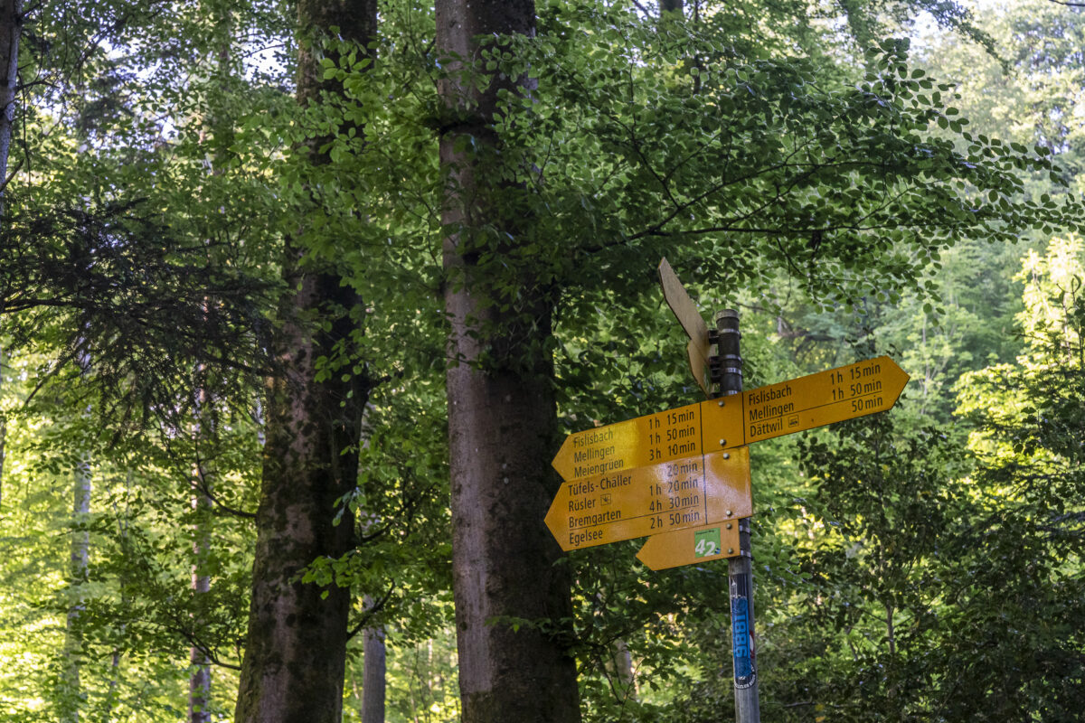 Wegweiser Waldrand von Baden