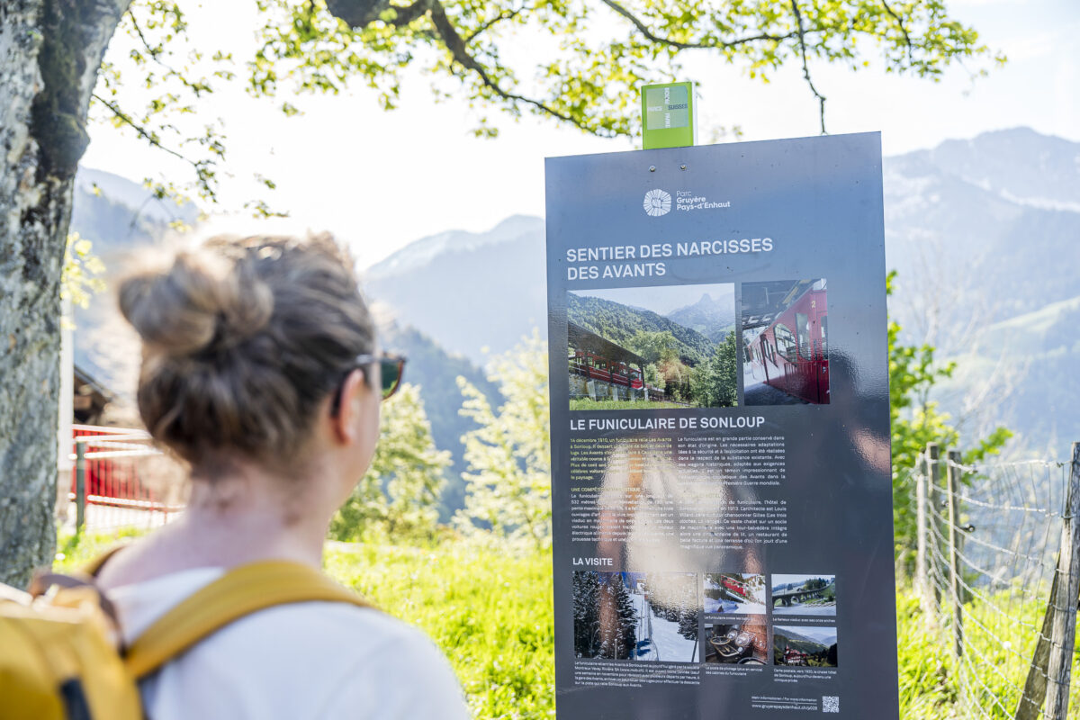Chemin des Narcisses Infostele