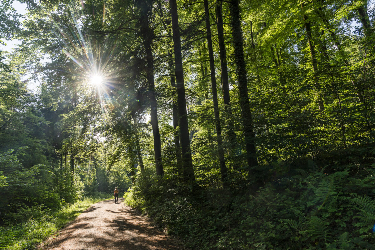 Vita Parcours Strecke Baden