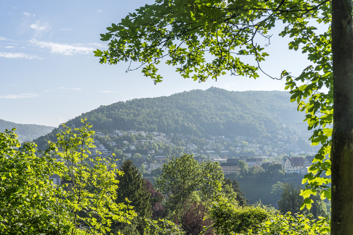 Blick RIchtung Lägern