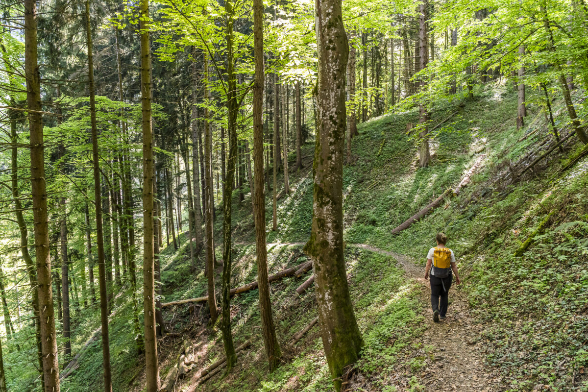 Wanderung in Glion