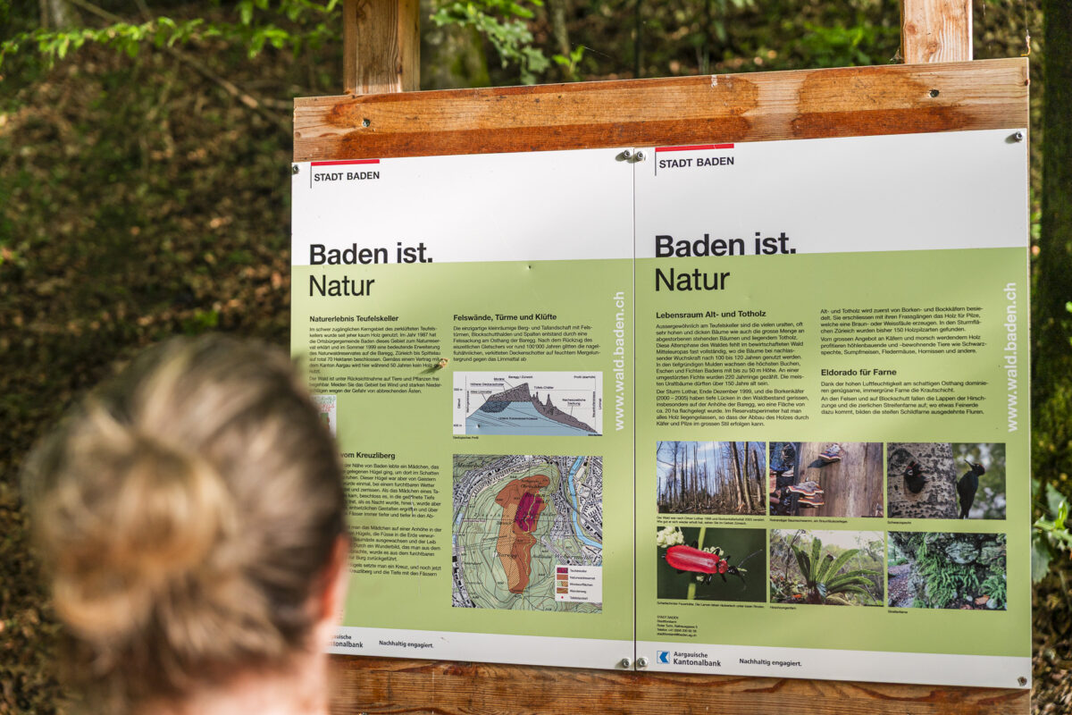 Baden ist Natur Infotafel