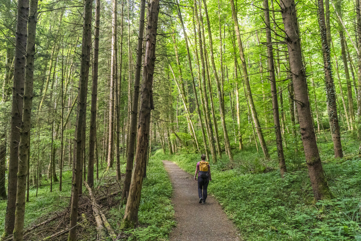 Naturwaldreservat Teufelskeller