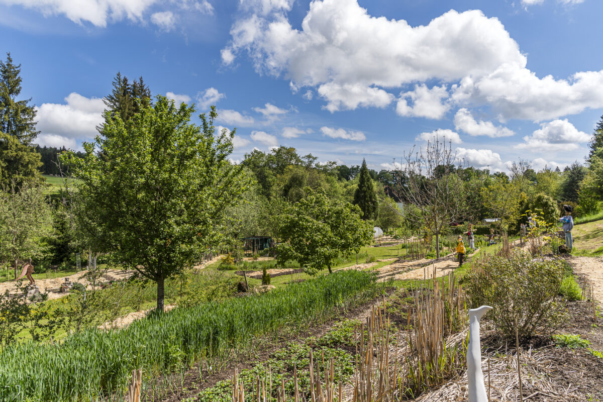 Garten beim Bivouc dans les Arbres