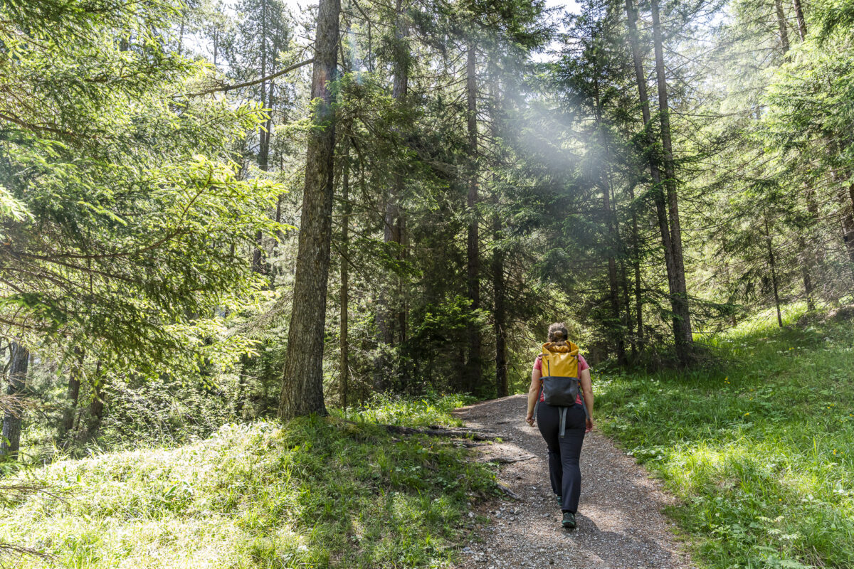 Wanderung vom Bahnhof Davos Wiesen nach Filisur