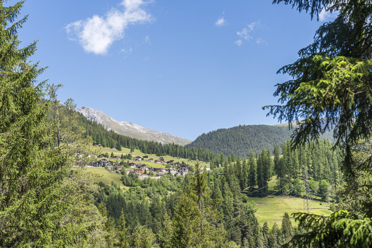 Davos Wiesen