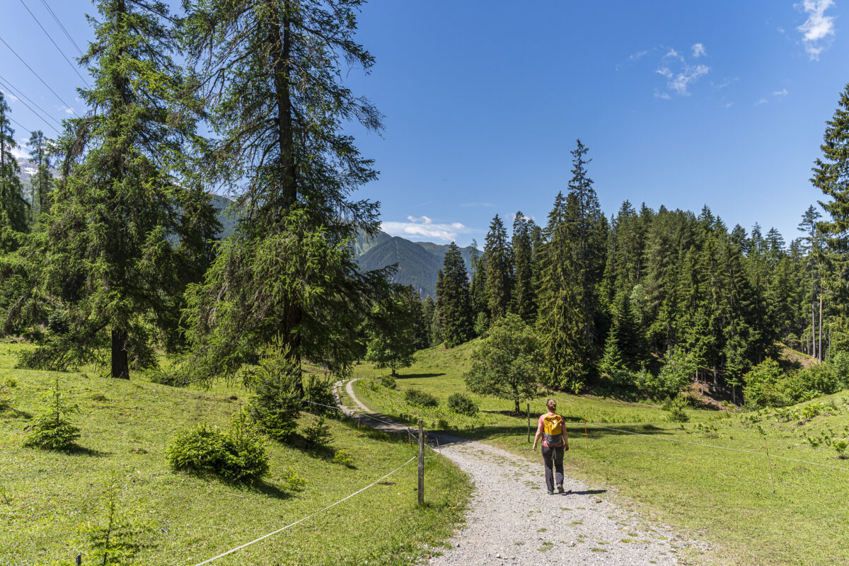 Wanderung von Davos Wiesen nach Filisur