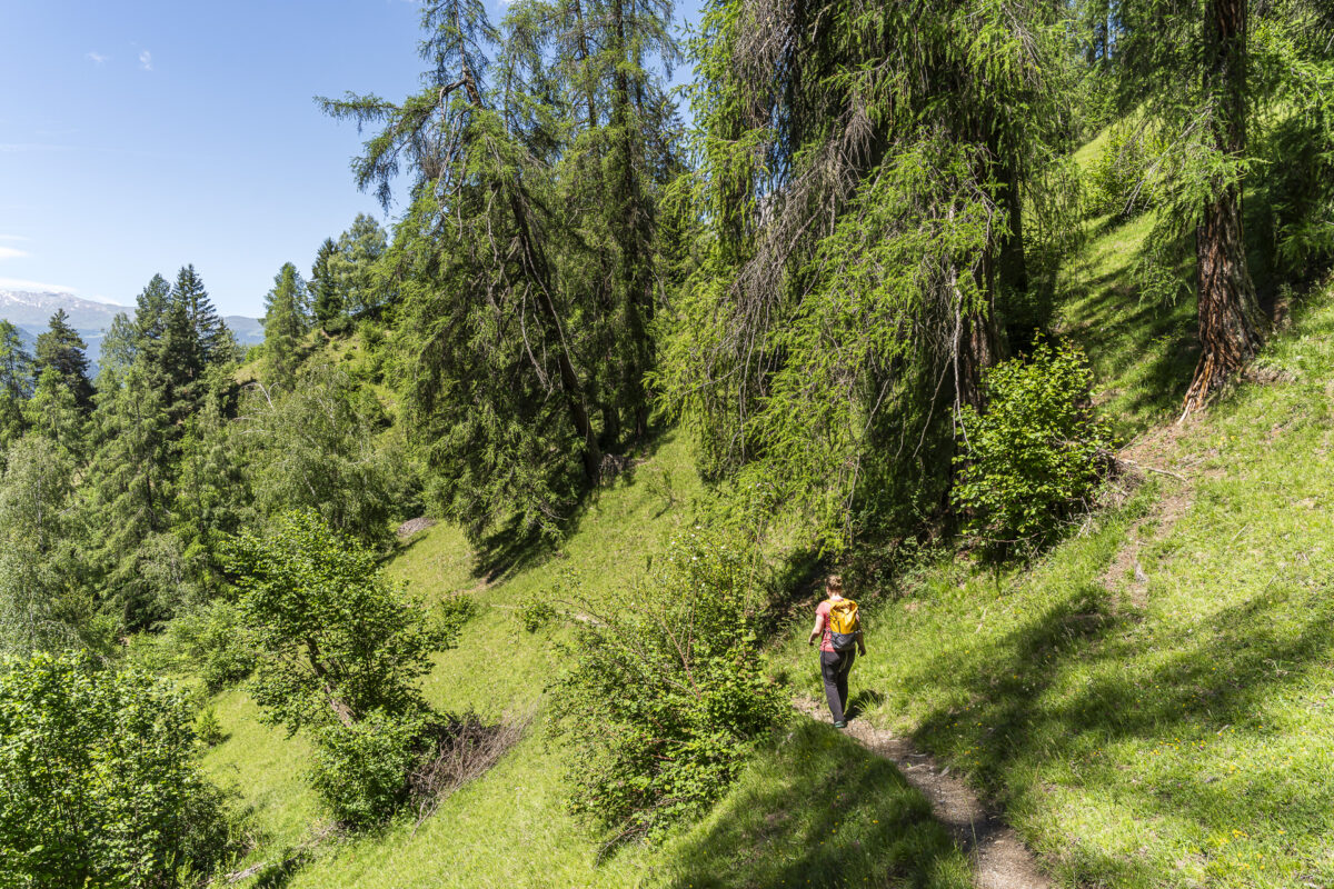 Wanderweg nach Filisur