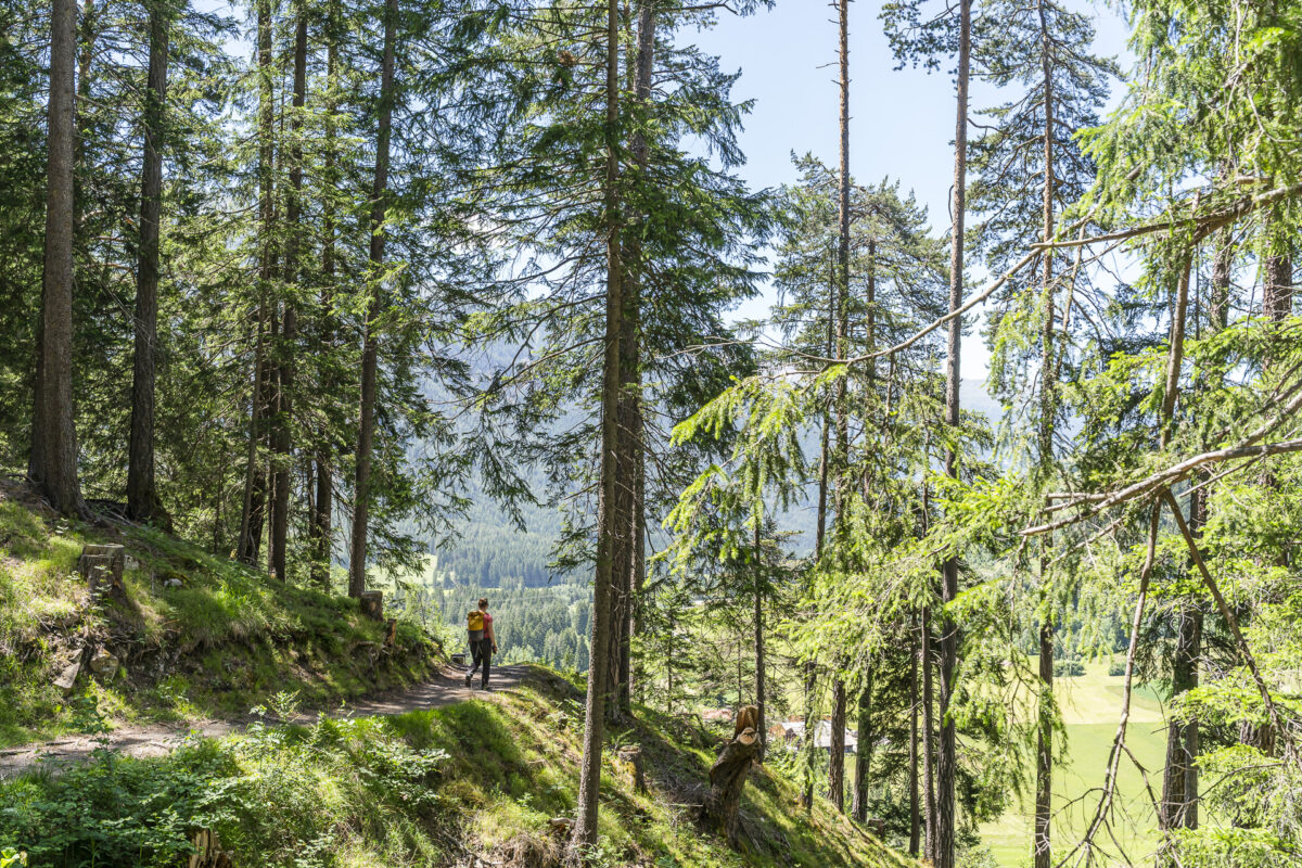 Bahnerlebnisweg Filisur