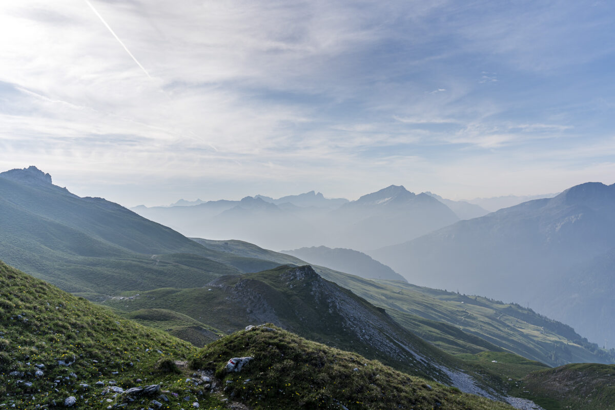 Panorama Rheinwald