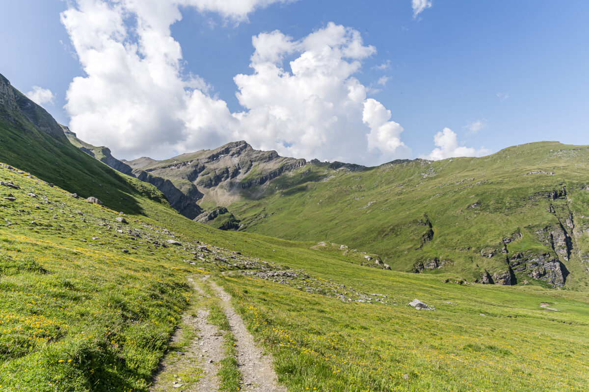 Wanderweg Tomülpass-Vals