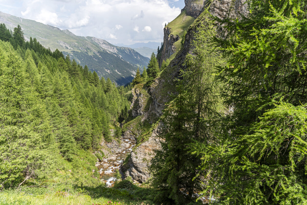 Wanderweg von der Alp Tomül nach Vals