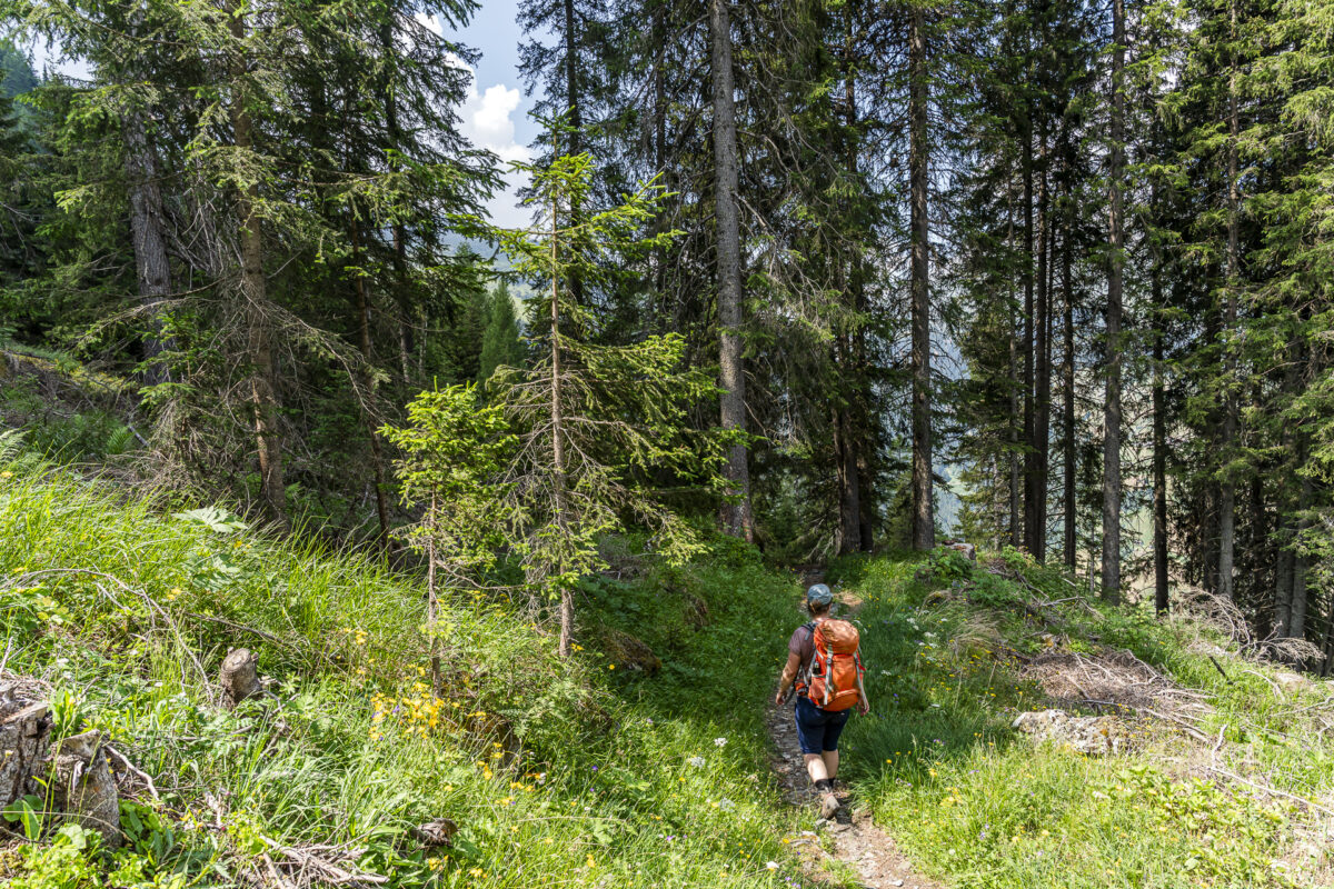 Wanderweg durch den Wald nach Vals
