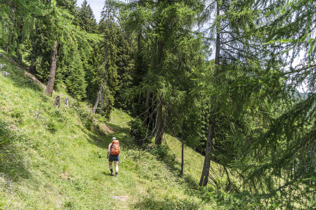 Aufstieg Sufers La da Vons durch den Wald