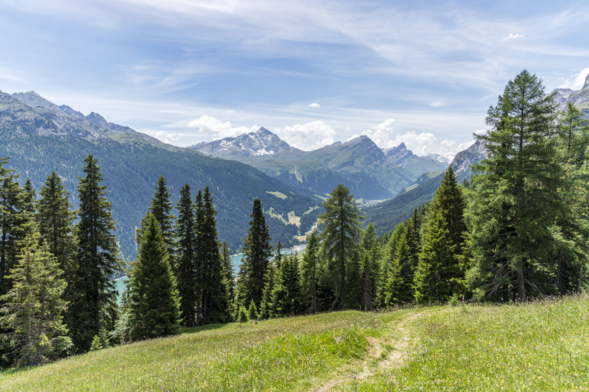 Panorama Rheinwald
