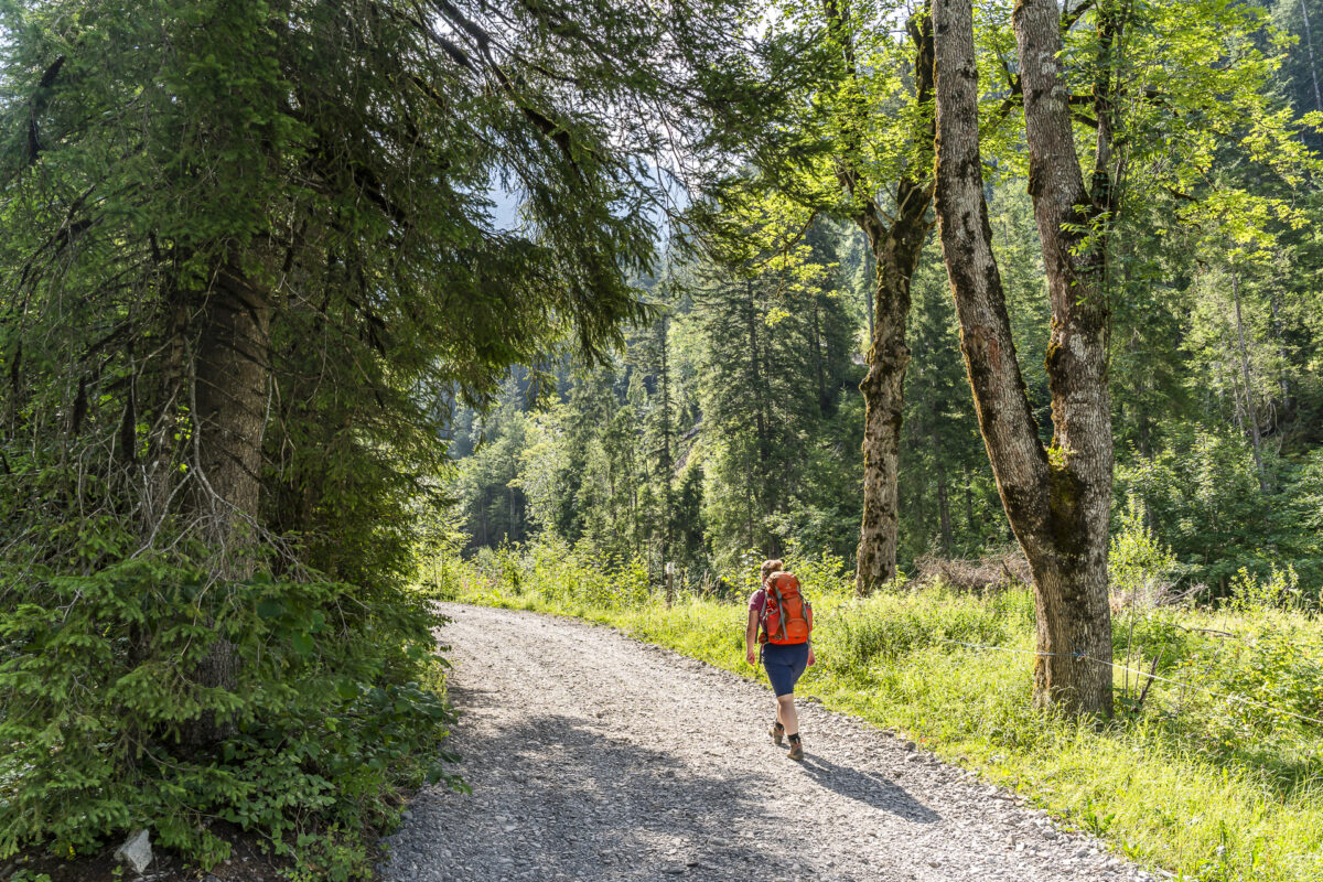 Wanderweg zu den Simmenfällen