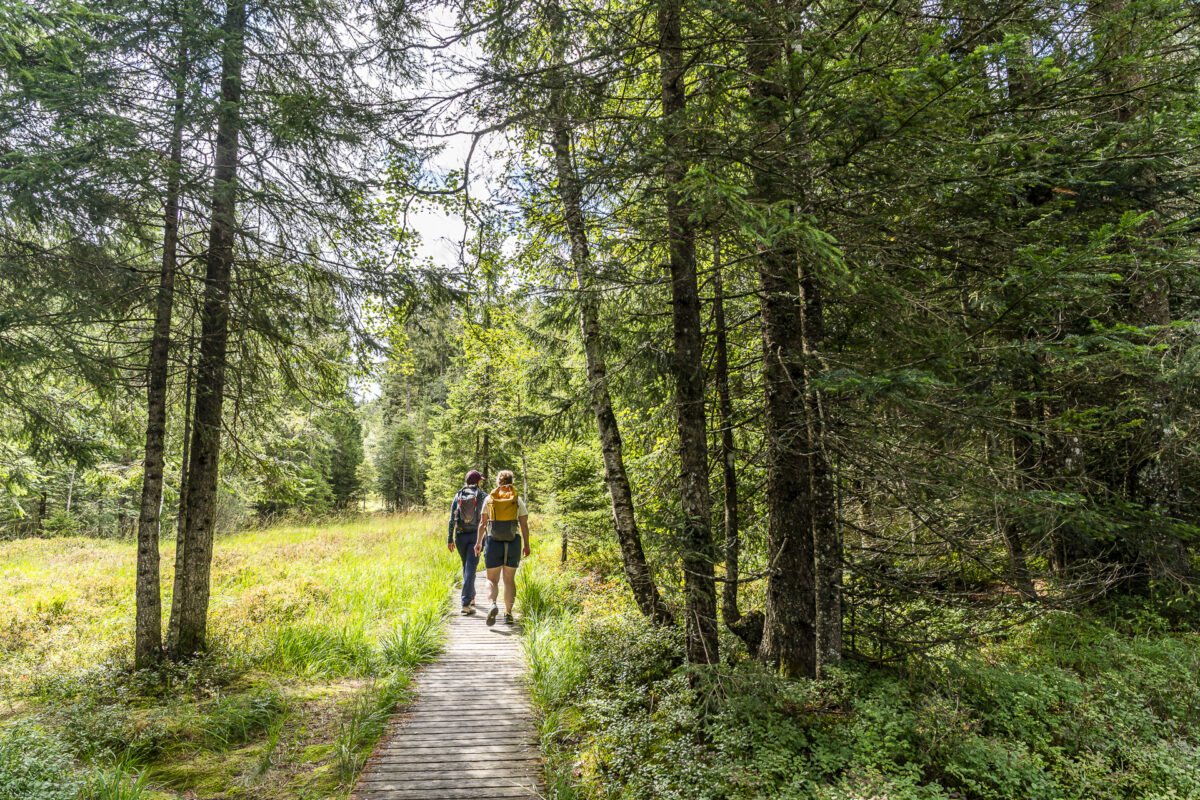 Wandern im Fohramoos am Bödele