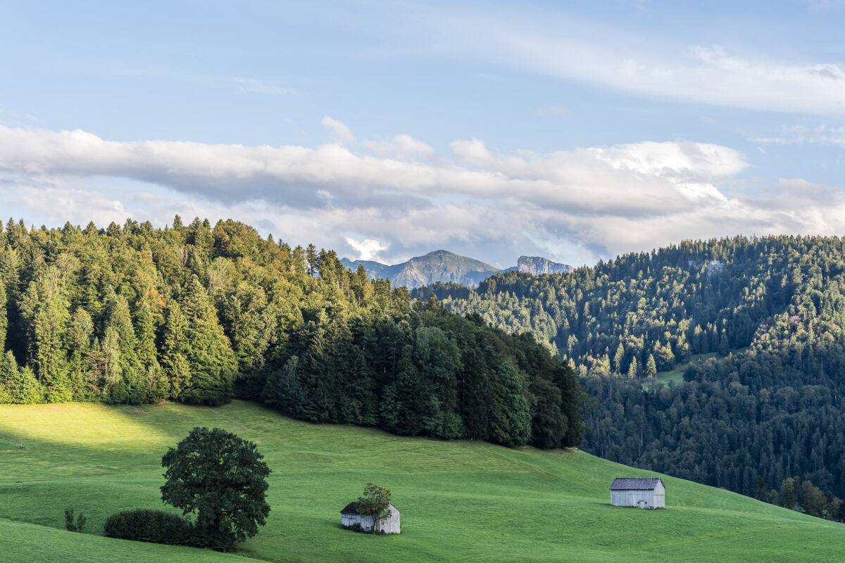 Schwarzenberg Vorarlberg