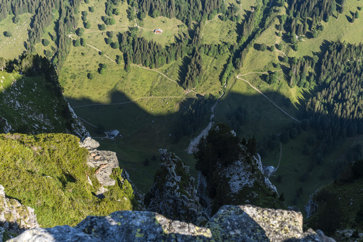 Wildbeobachtung am Niederhorn
