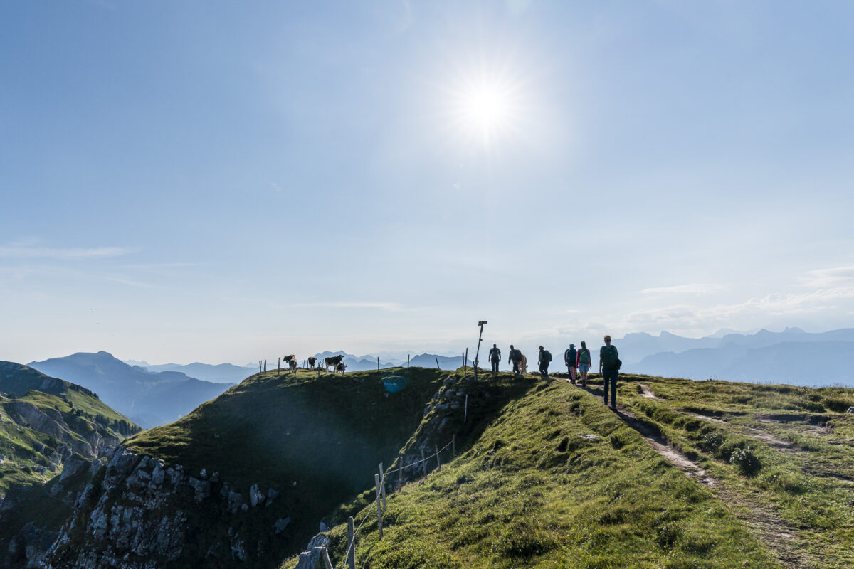 Wildbeobachtungstour am Niederhorn