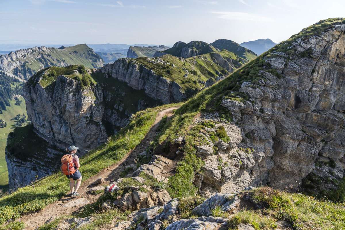 Wanderweg Niederhorn - Gemmenalphorn