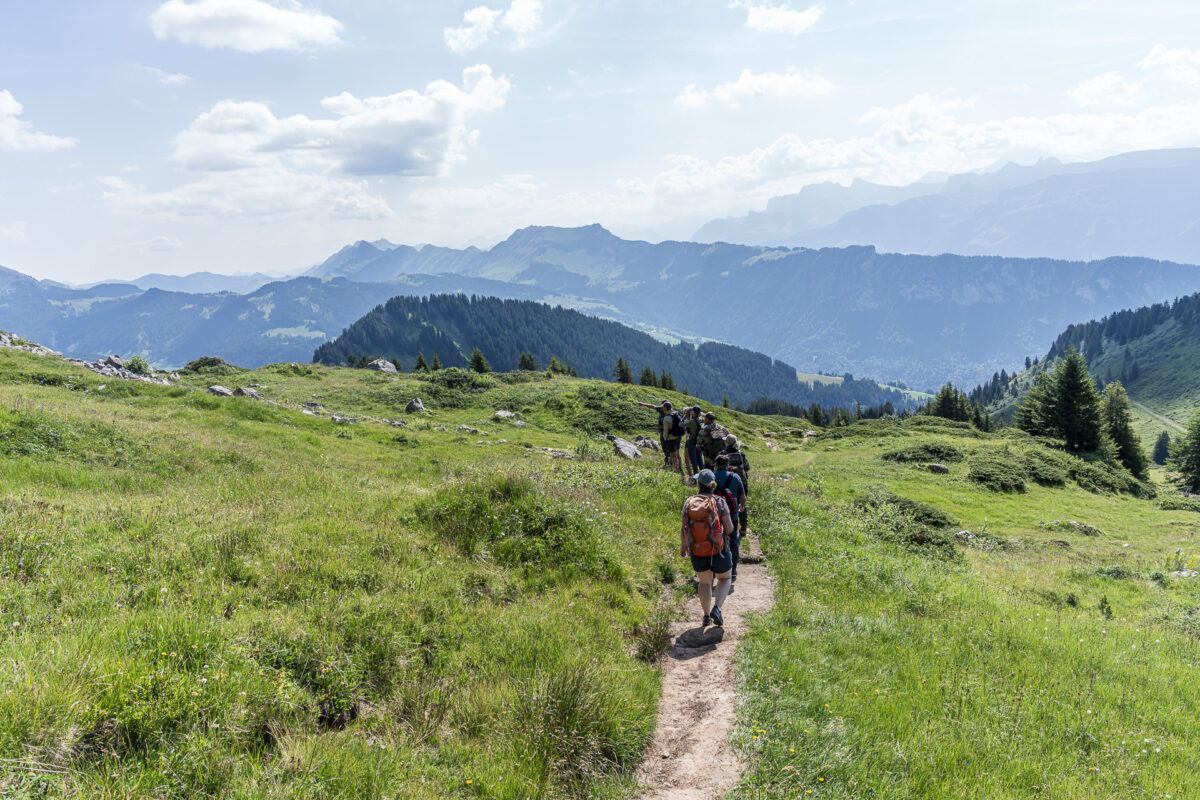 Wildbeobachtung am Niederhorn