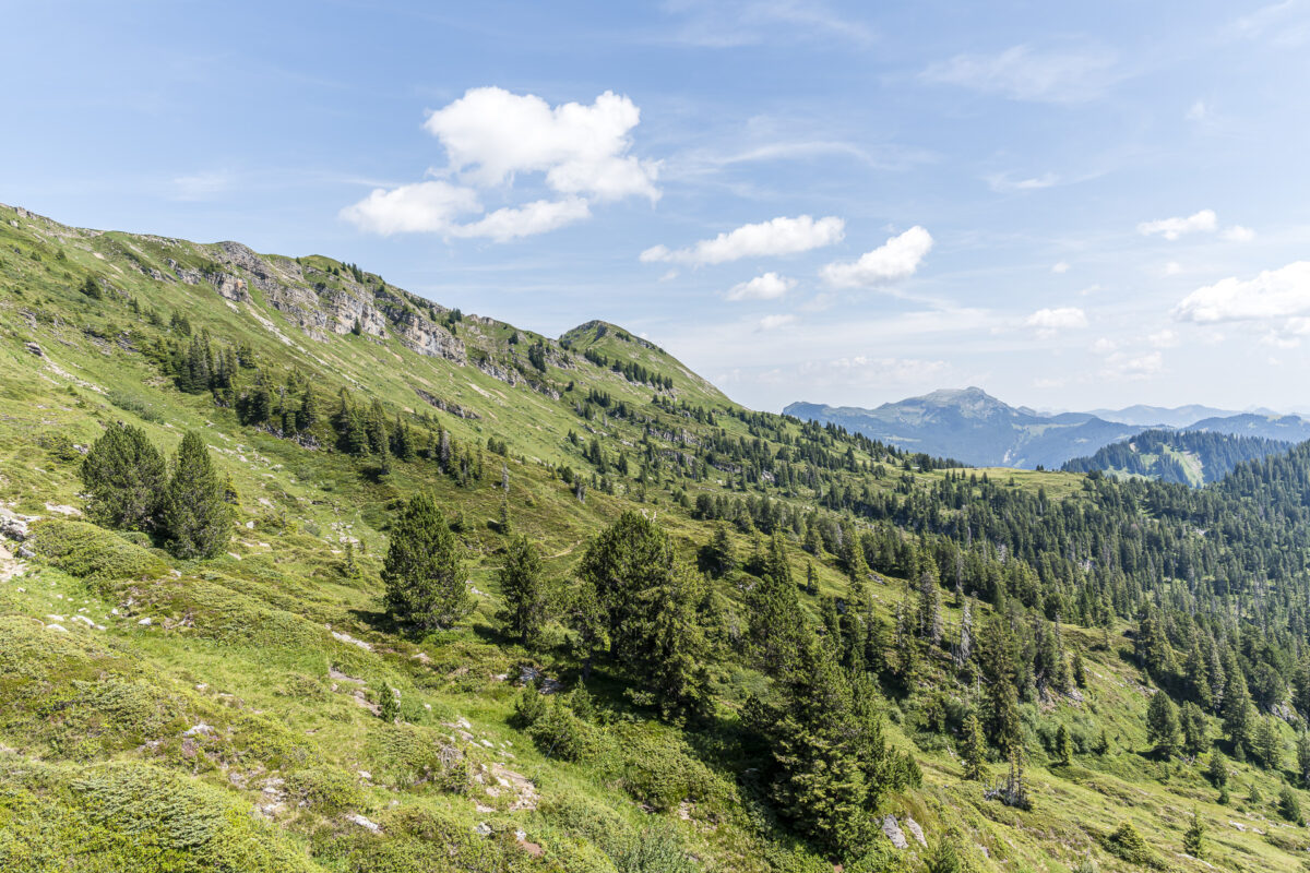 Wandergebiet am Niederhorn