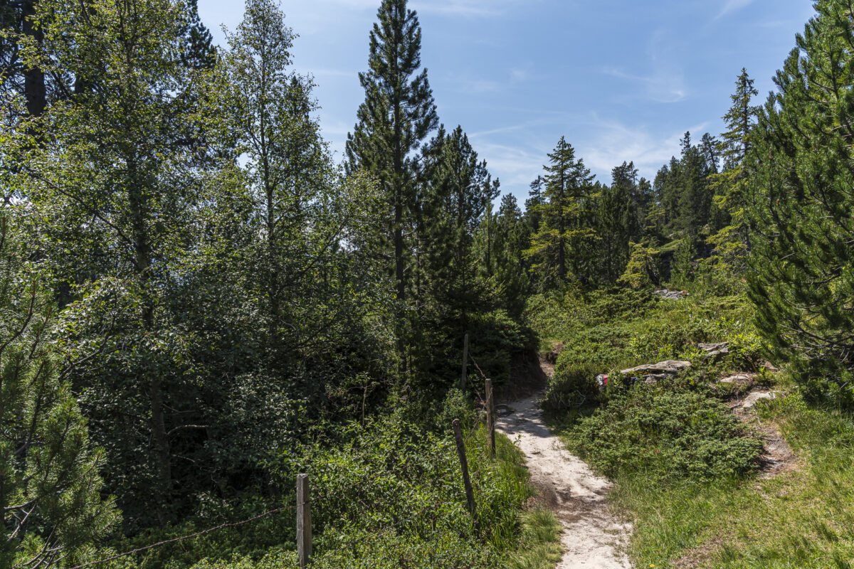 Wanderweg Richtung Vorsass