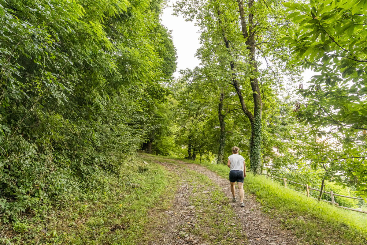 Wanderung zum Fragsburger Wasserfall