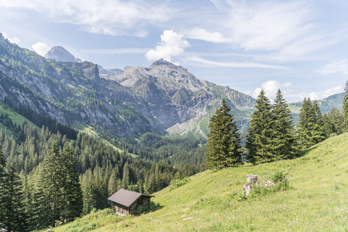 Aussicht Ammerte
