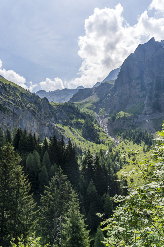 Ammertebach