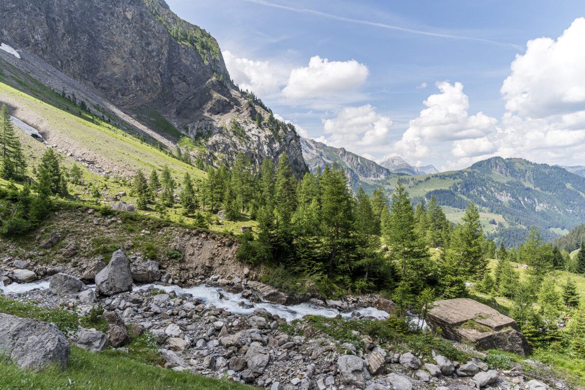Ammertenbach Simmental