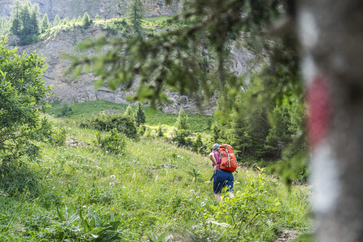 Aufstieg zur Ammertenhütte