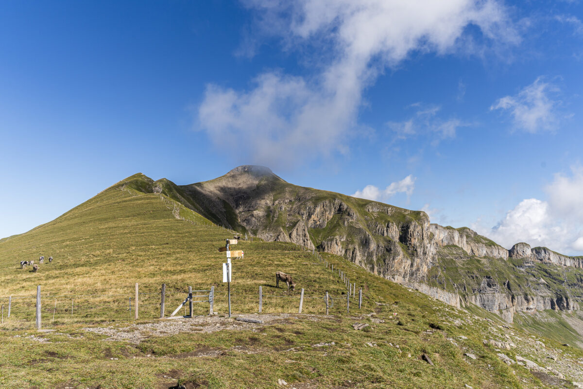 Wegweiser auf der Bannalper Schonegg