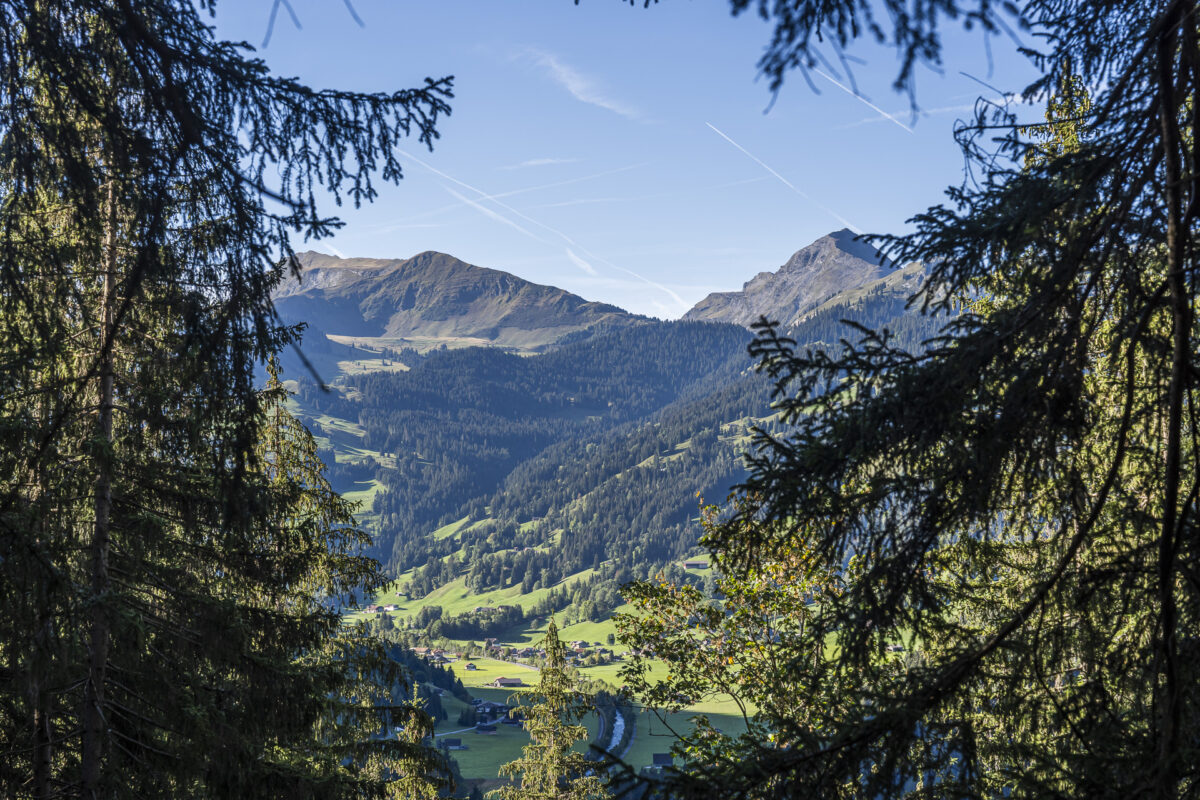 Blick auf Blankenburg