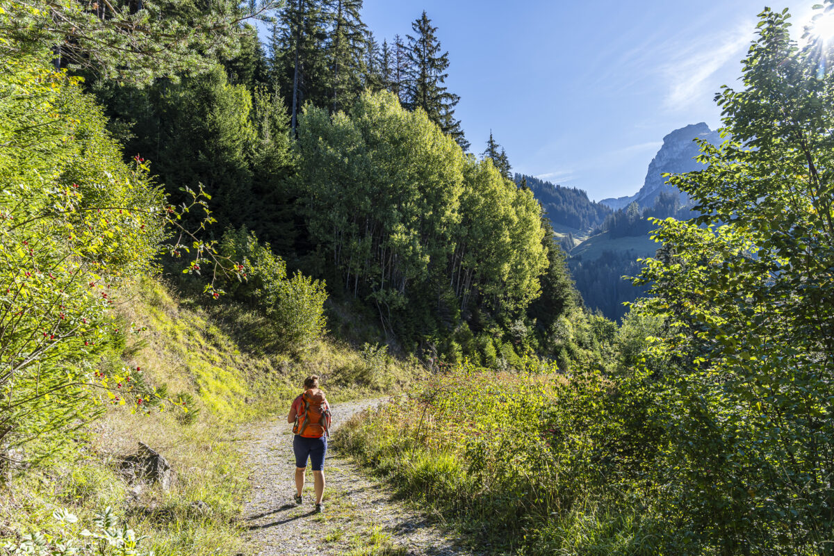 Wanderweg Richtung Scheidegg