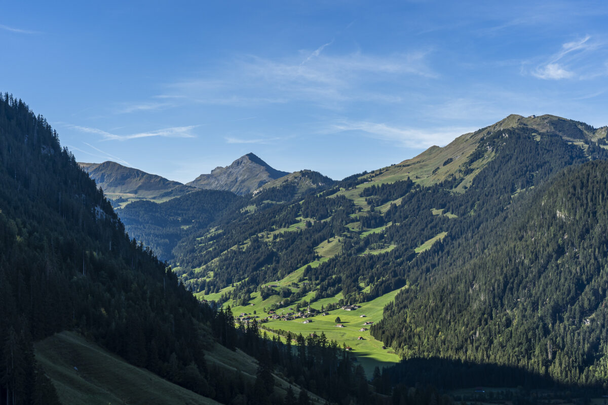 Blick ins Simmental