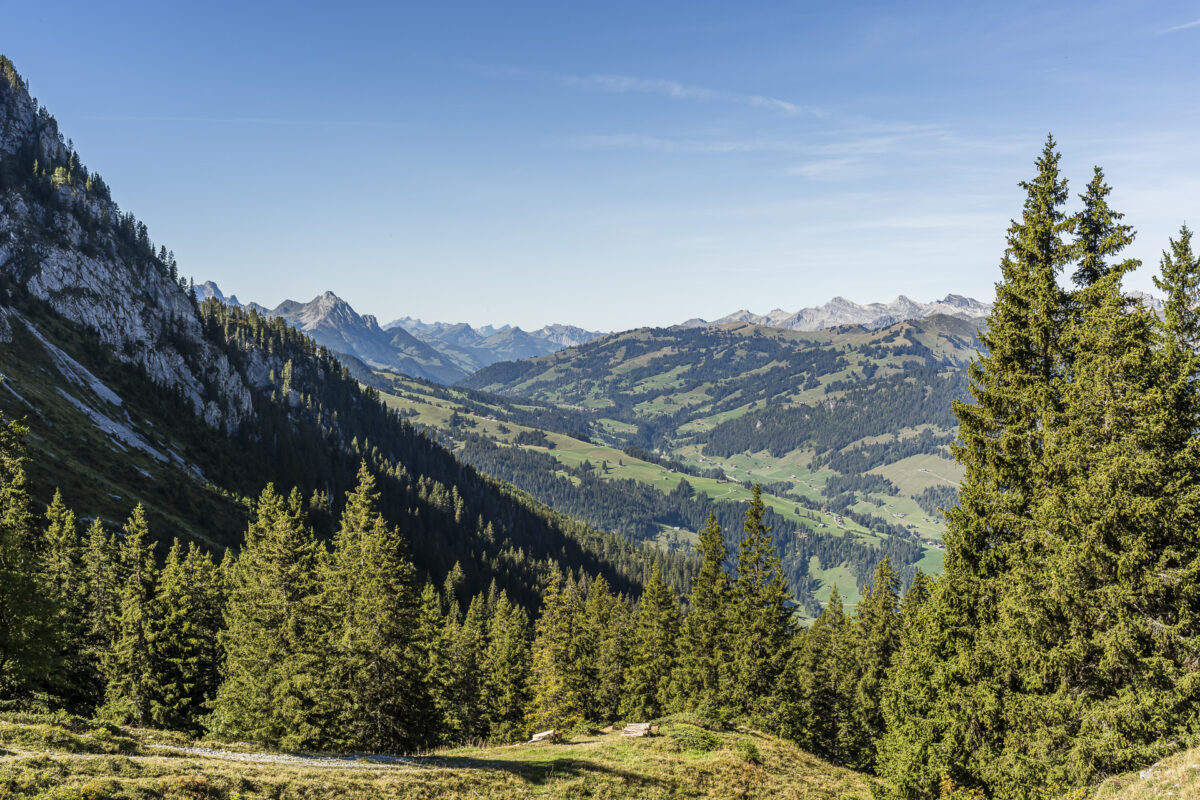 Panoramablick ins Simmental