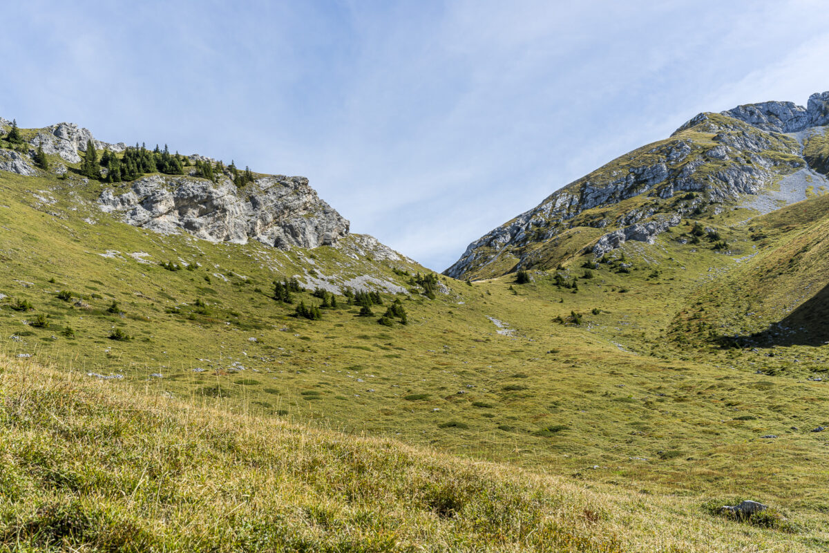 Blick Richtung Scheidegg