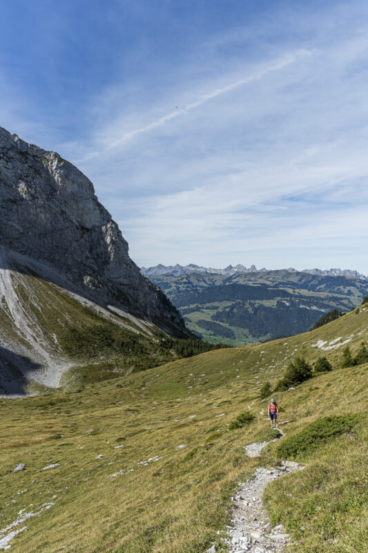 Wanderung Scheidegg-Grimmialp