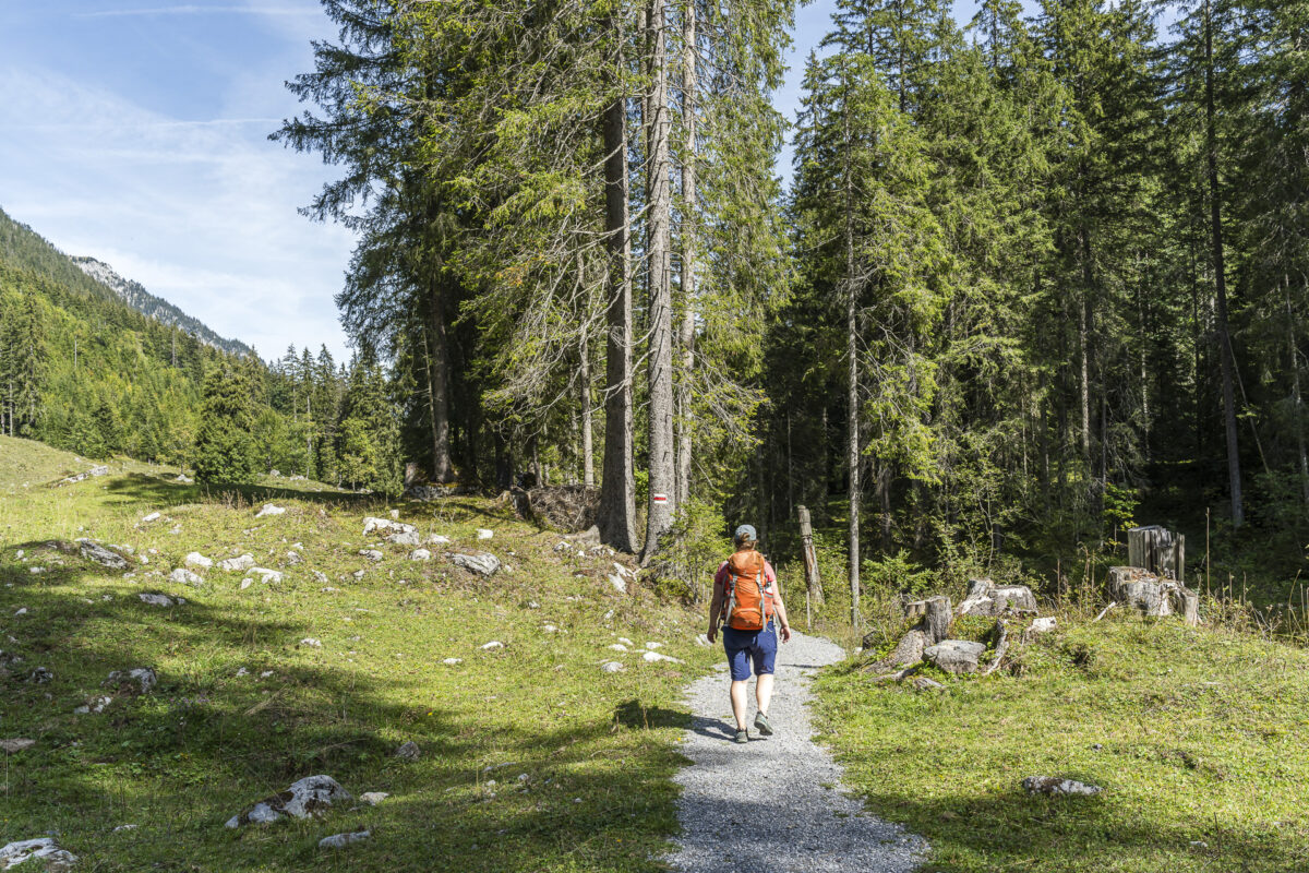 Senggibach Grimmialp